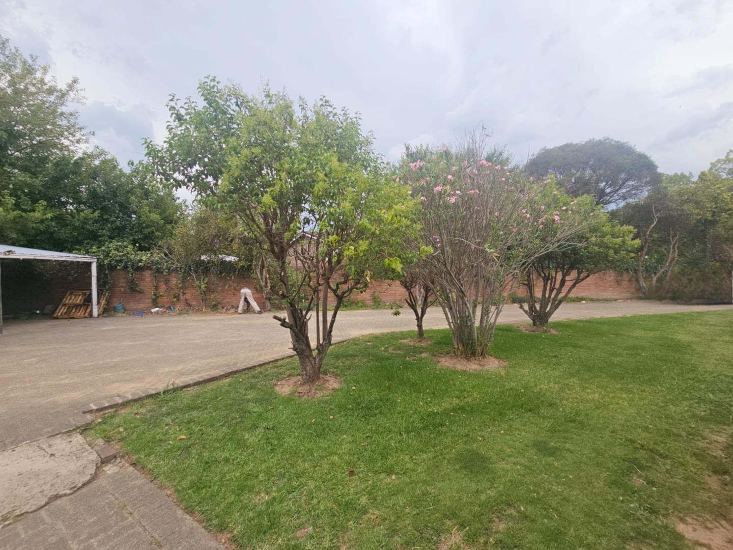 3 Bedroom Property for Sale in Ladybrand Free State